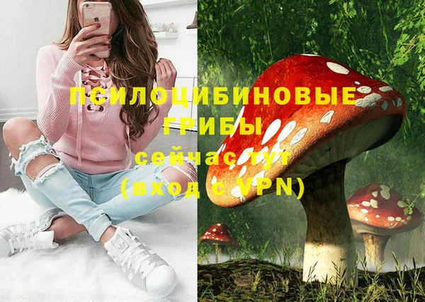 мяу мяу мука Елабуга