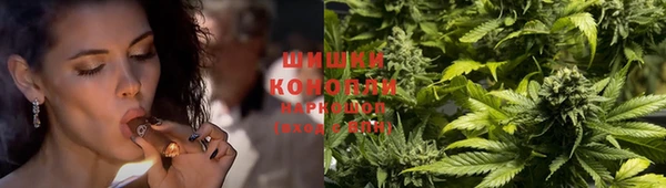 мяу мяу мука Елабуга