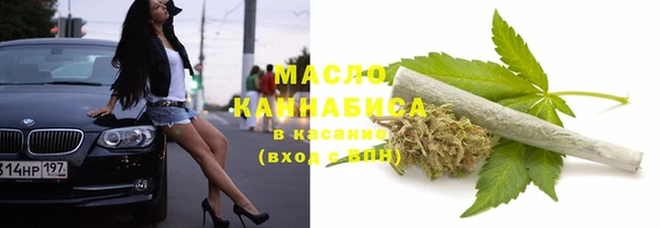 прущие крисы Ельня