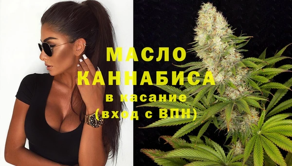 мяу мяу мука Елабуга