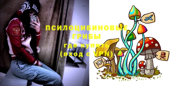 ECSTASY Заводоуковск